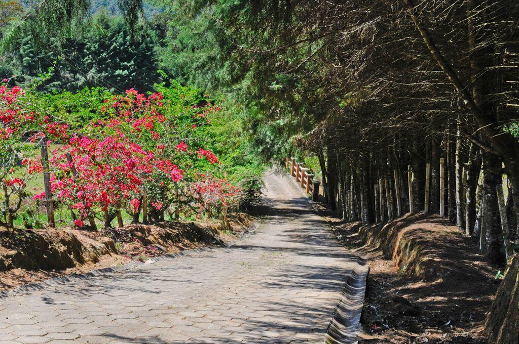 Pousada Sol Da Montanha Jardim Sun Valley Zewnętrze zdjęcie